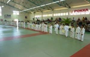 Petits Dragons et Dragons