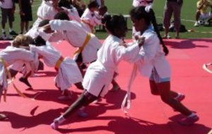 Journée &quot;Soyons Sports&quot; 28 Août 2011