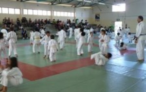 Petits Dragons 23-06-12