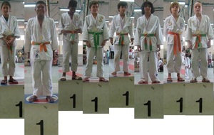 Petits Tigres et Médailles des Benjamins 2-3 Novembre 2013