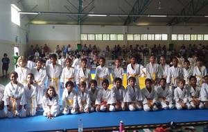Tournoi des Petits Tigres - 28 Février 2016
