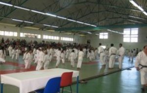 Tournoi des Petits Dragons et Dragons