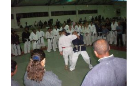 Intervention en karaté jutsu 21 Mai 2010