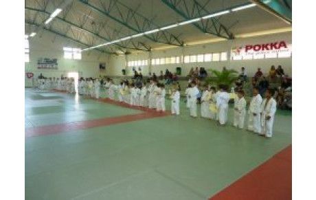 Petits Dragons et Dragons