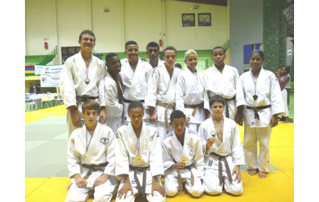 TICAD 16 Février 2013