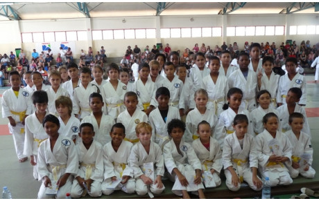 Petits Tigres 24 février 2013