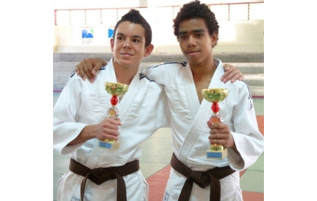 Coupe Régionale Kata Minimes 18 mai 2013