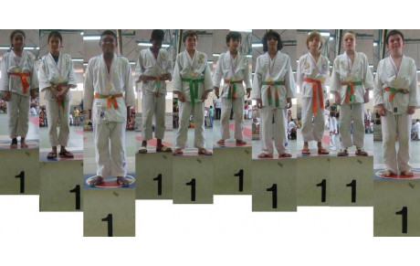 Petits Tigres et Médailles des Benjamins 2-3 Novembre 2013