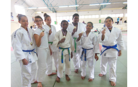 Coupe régionale Minimes 16 Février 2014