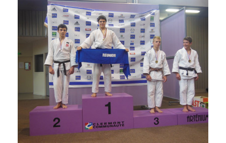 Coupe de France Cadets et Coupe IDF kata 31 Mai 2014 + Critérium national Cadets 1er Juin