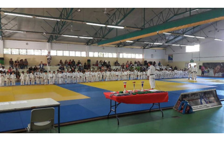 Tournoi des Petits Dragons - 16 Juin 2018