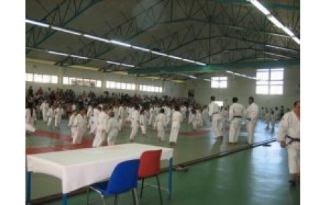 Tournoi des Petits Dragons et Dragons